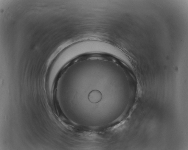 X0000086220244200704051247