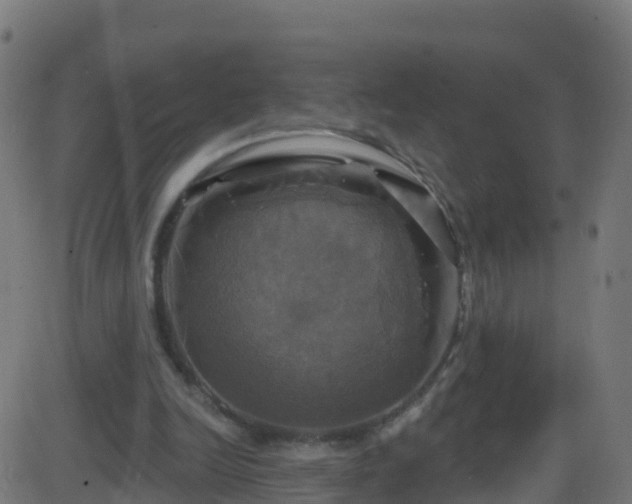 X0000086220246200704051247