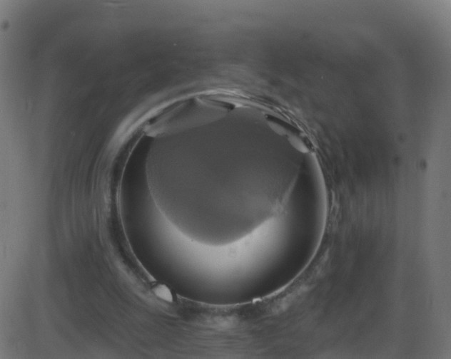 X0000086220247200704051247