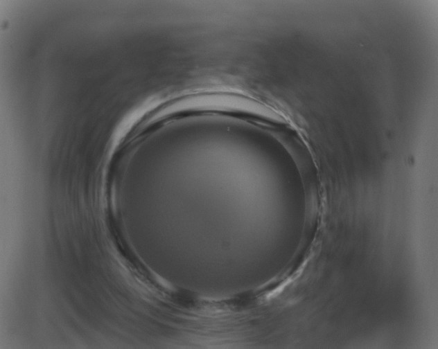 X0000086220248200704051247