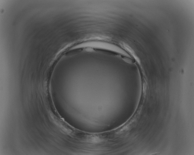 X0000086220249200704051247