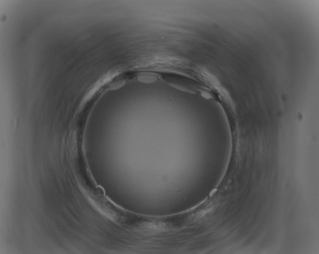 X0000086220250200704051247