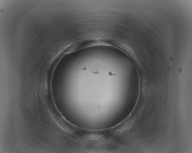 X0000086220251200704051247