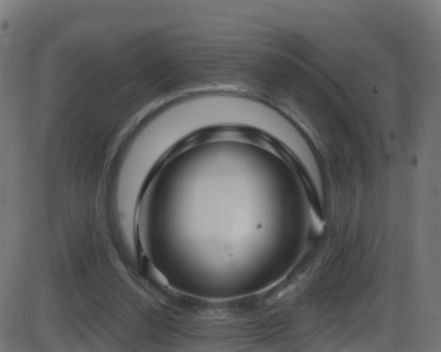 X0000086220252200704051247