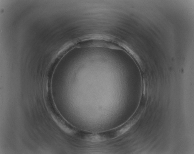 X0000086220253200704051248