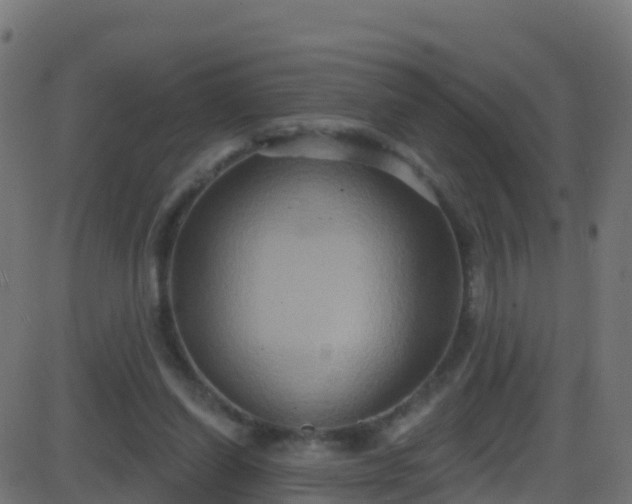 X0000086220254200704051248