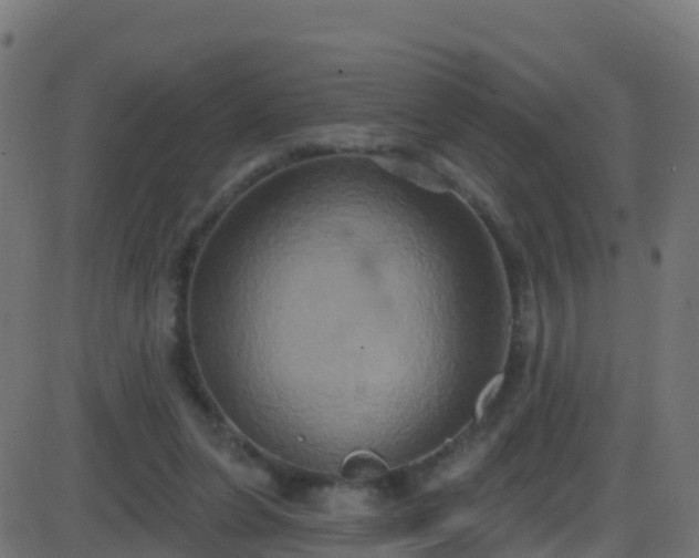 X0000086220255200704051248