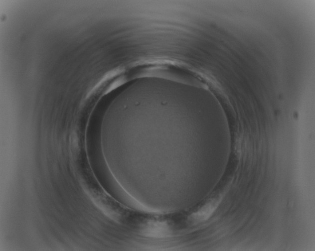 X0000086220256200704051248