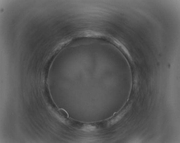 X0000086220257200704051248