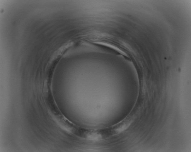 X0000086220258200704051248