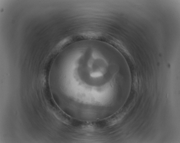 X0000086220259200704051248