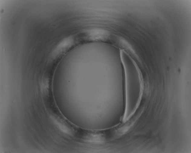 X0000086220260200704051248