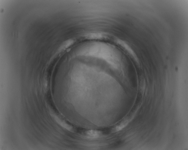 X0000086220261200704051248