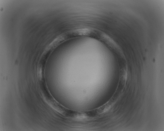 X0000086220262200704051248