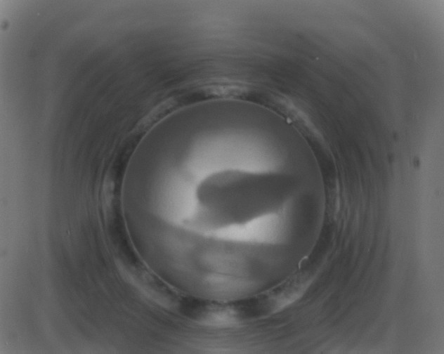 X0000086220263200704051248