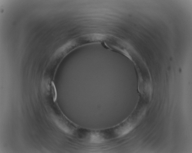 X0000086220264200704051248