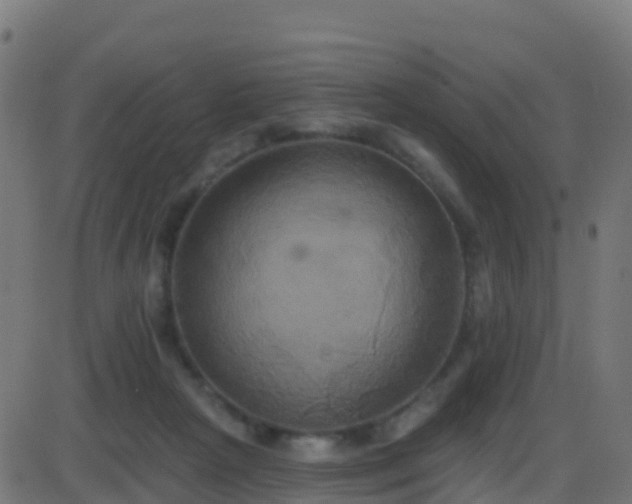 X0000086220265200704051248