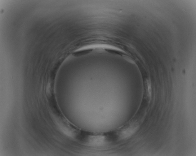 X0000086220266200704051248