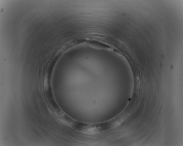 X0000086220267200704051248