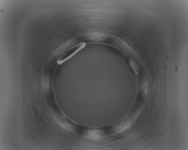 X0000086220268200704051248