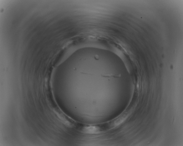 X0000086220269200704051248