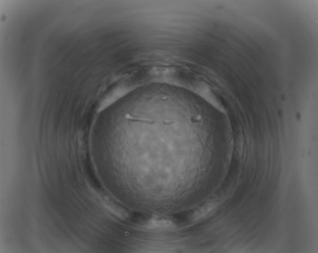 X0000086220270200704051248