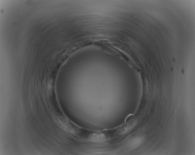 X0000086220271200704051248