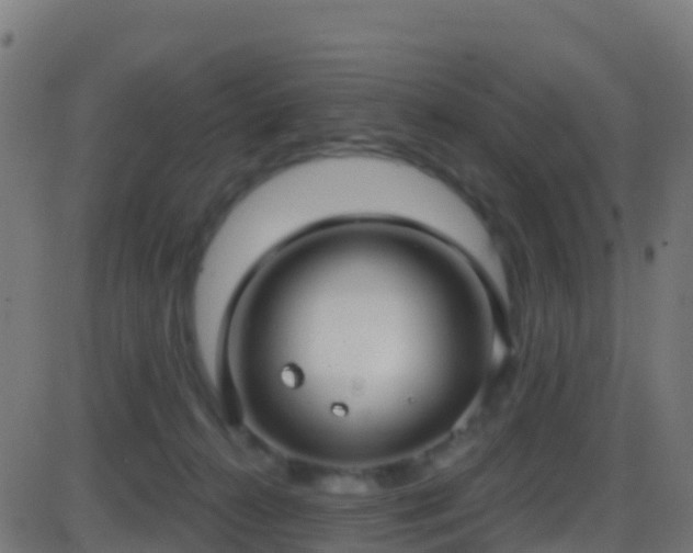 X0000086220272200704051248