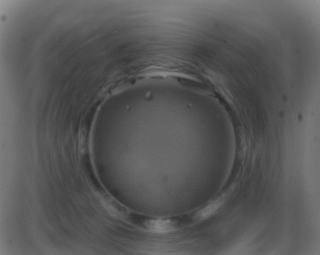 X0000086220273200704051248