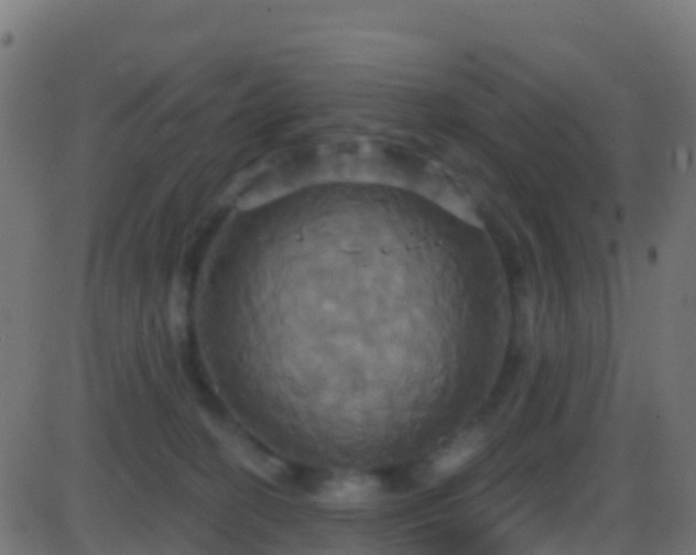 X0000086220274200704051248