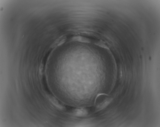 X0000086220275200704051248