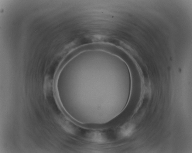 X0000086220276200704051248