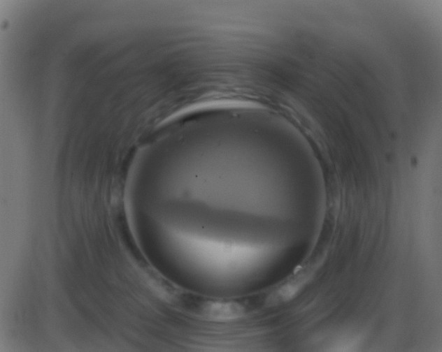 X0000086220277200704051248