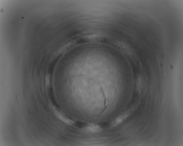 X0000086220278200704051248