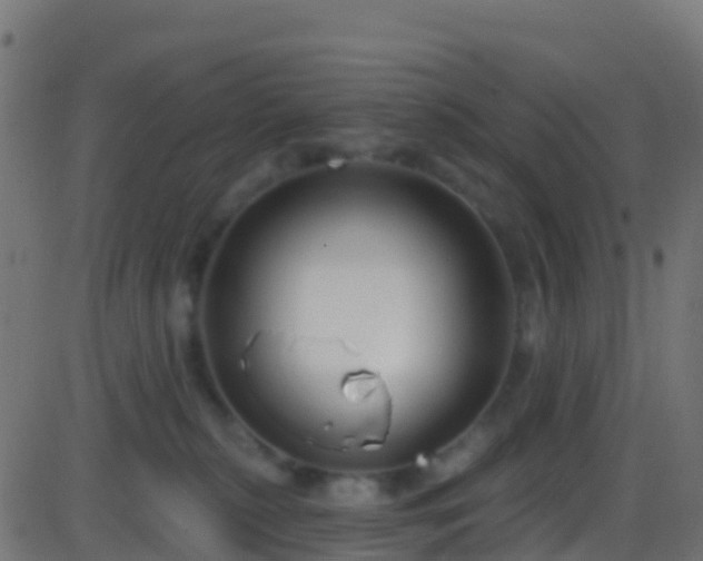 X0000086220279200704051248