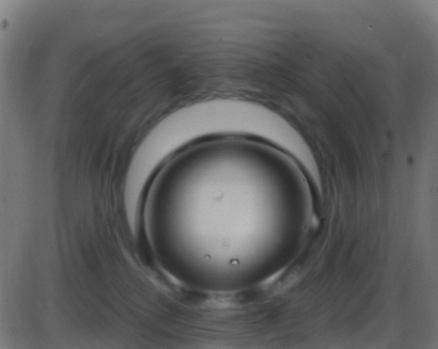 X0000086220280200704051248