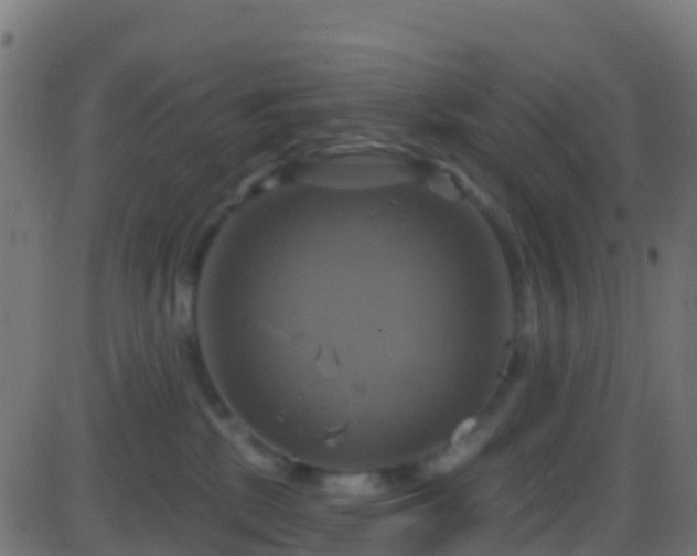 X0000086220281200704051248