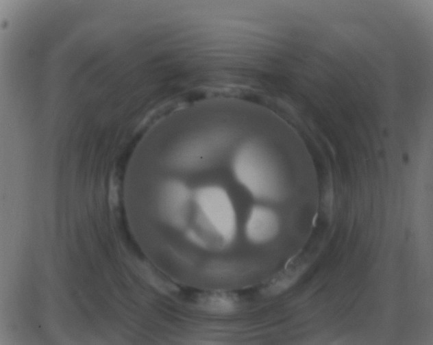 X0000086220282200704051248