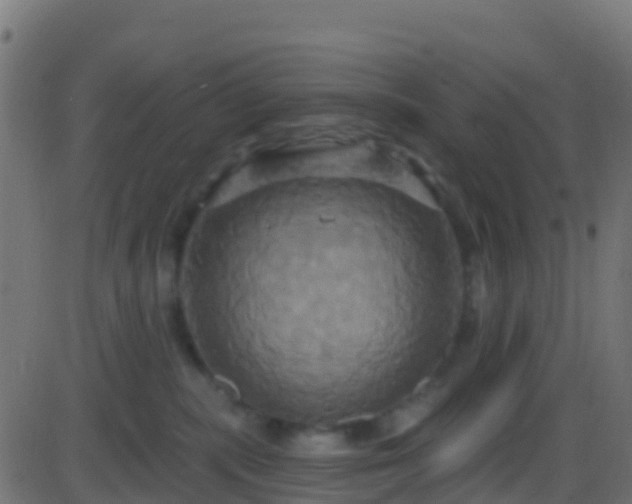 X0000086220283200704051248