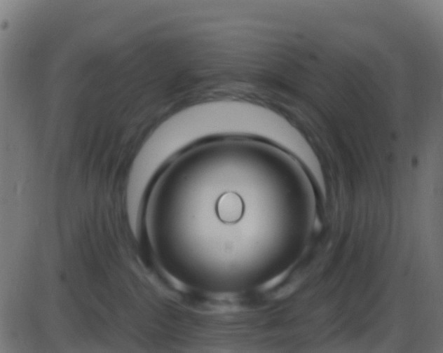 X0000086220284200704051248