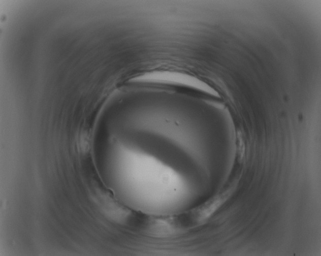 X0000086220285200704051248