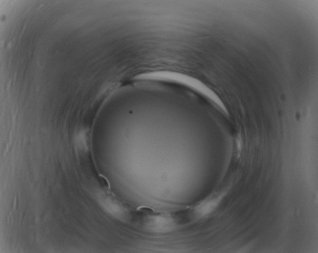 X0000086220286200704051248