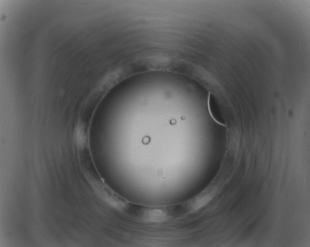 X0000086220287200704051248