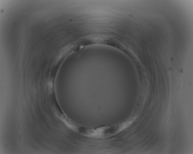 X0000086220288200704051248