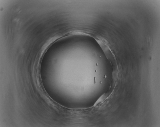 X0000086220289200704051247