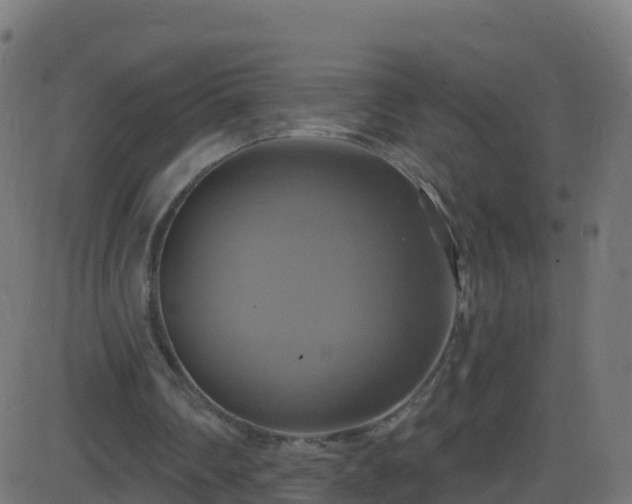 X0000086220290200704051247