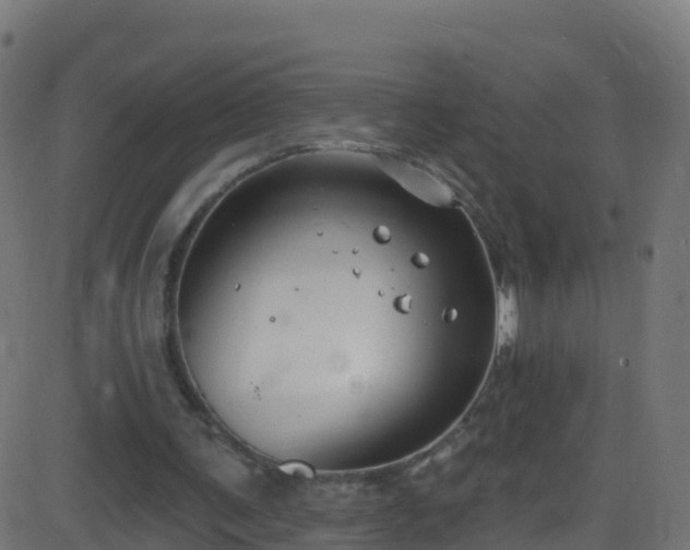 X0000086220291200704051247