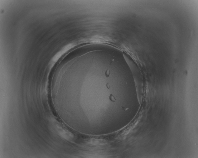 X0000086220292200704051247