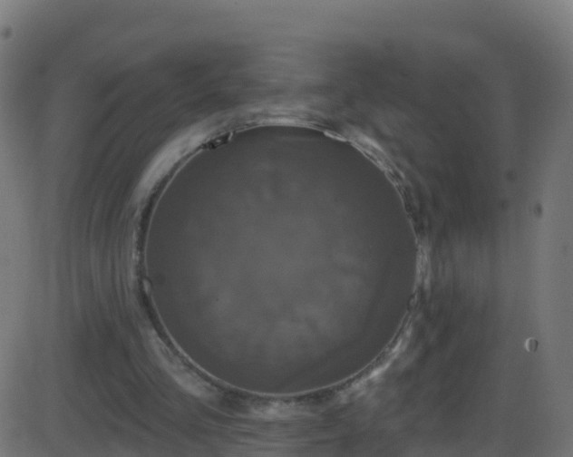 X0000086220293200704051247