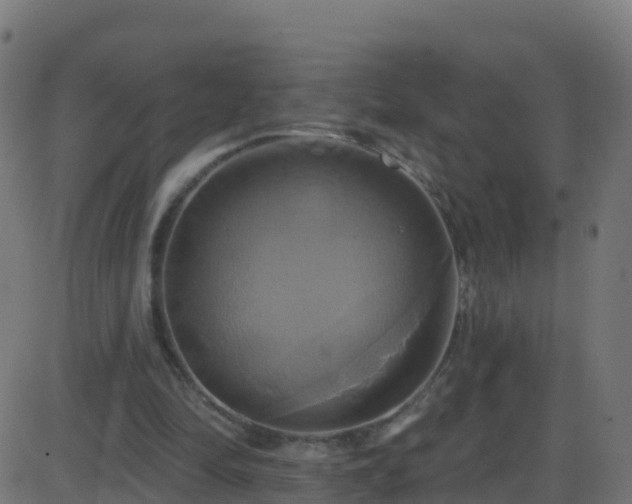 X0000086220294200704051247